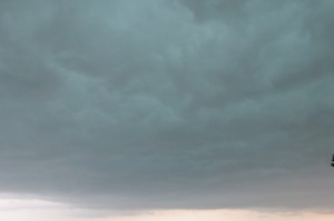 IMG_2626