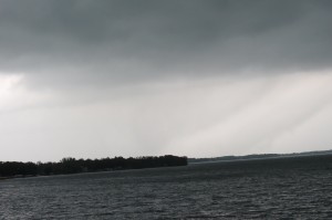 IMG_2629